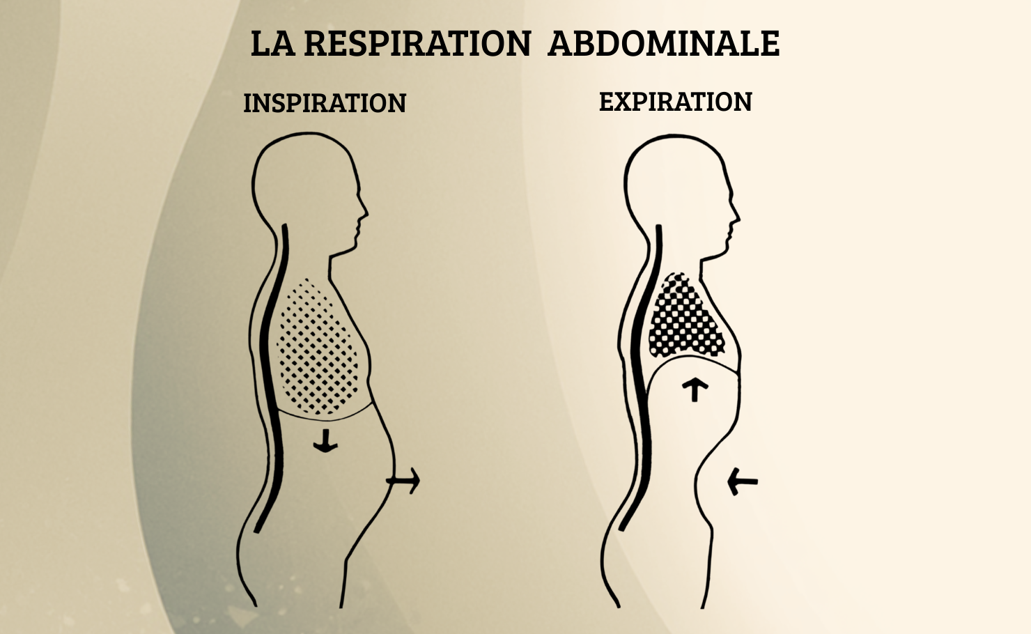 Réapprendre à respirer comme un bébé
